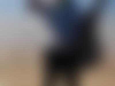 ROBERTBEEKMANZUTPHEN